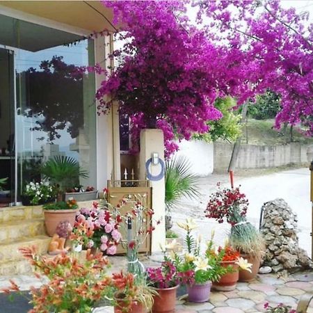 Hotel Ridal Vlorë Exteriör bild